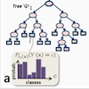 Random decision forests